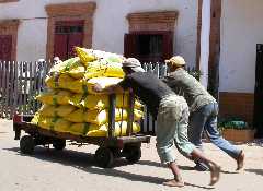 transport